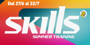 skills_web