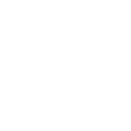 logo_pallacanestro_limena_bianco_256